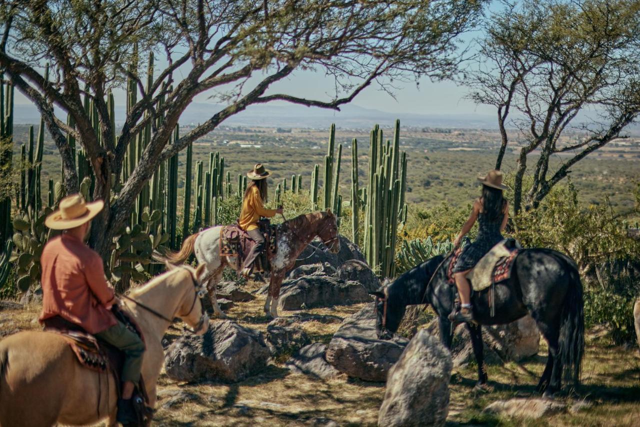 Our Habitas San Miguel De Allende Exteriér fotografie