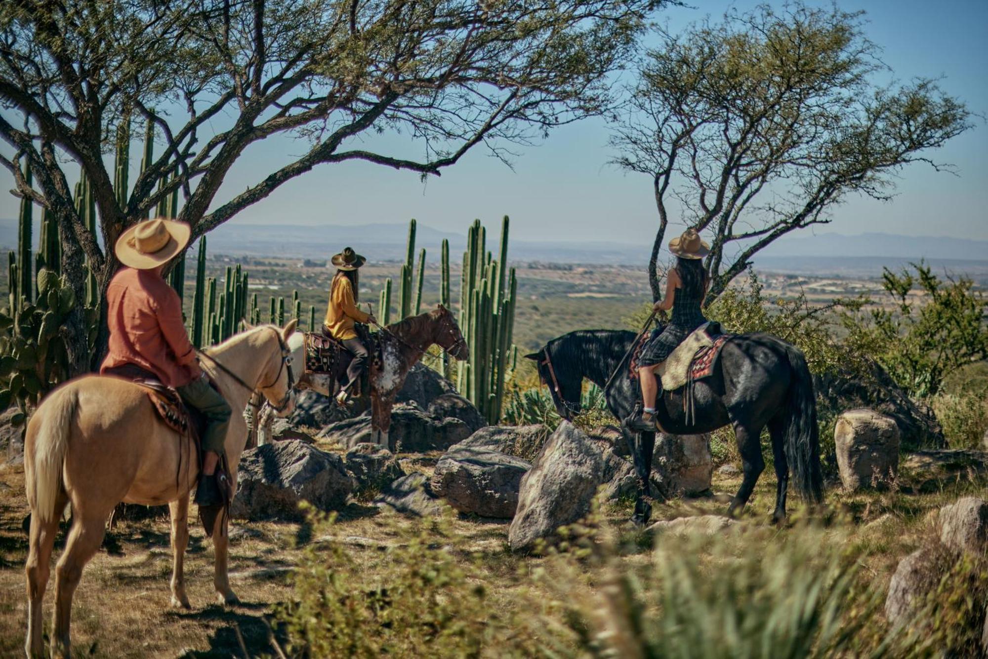 Our Habitas San Miguel De Allende Exteriér fotografie